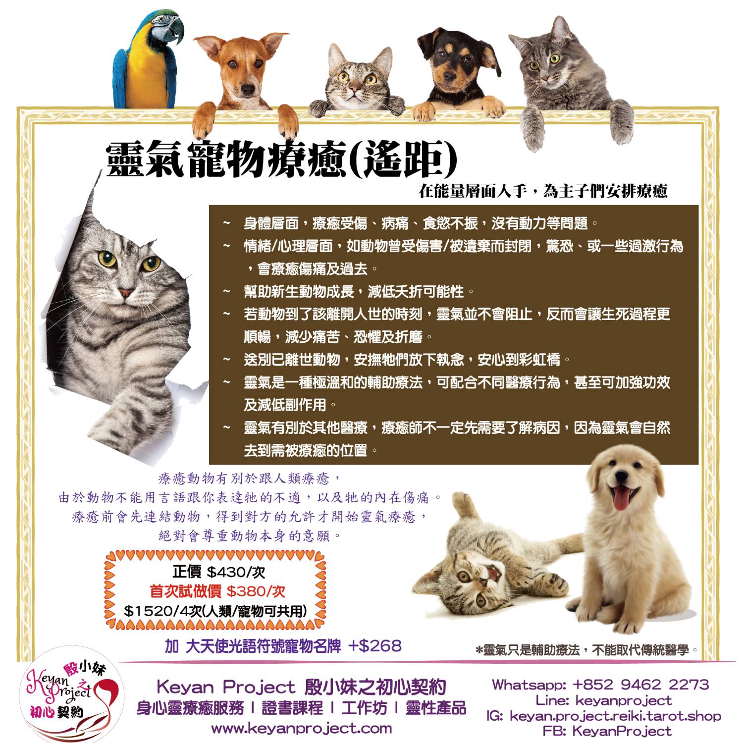 遠傳寵物靈氣